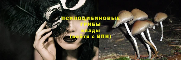 МДПВ Верхнеуральск