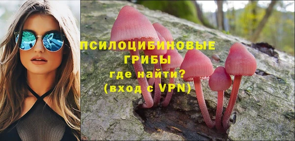 СК Бронницы