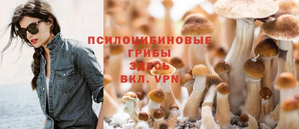 МДПВ Верхнеуральск