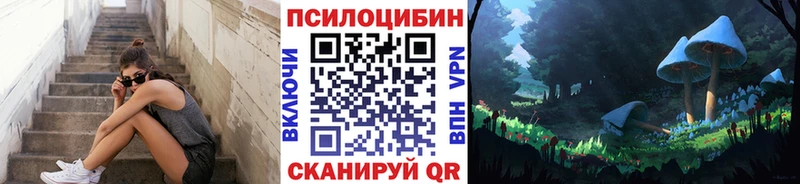 KRAKEN маркетплейс  Фёдоровский  Галлюциногенные грибы мицелий 
